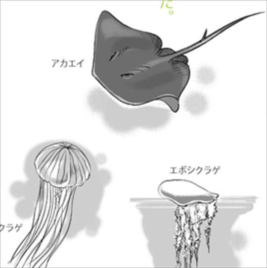 �]�������l�C�T�[�t�B���X�N�[���̏��S�҂��T�[�t�B�����͂��߂邽�߂̃R�c